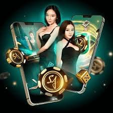 7 bet k